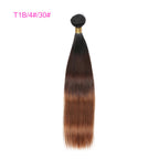 3 Bundles Straight T1B/4# / 27# T1B/Red 100% Human Hair T1B/Blue T1B/613 T1B/4# / 30# 2019 Hair Color Trends